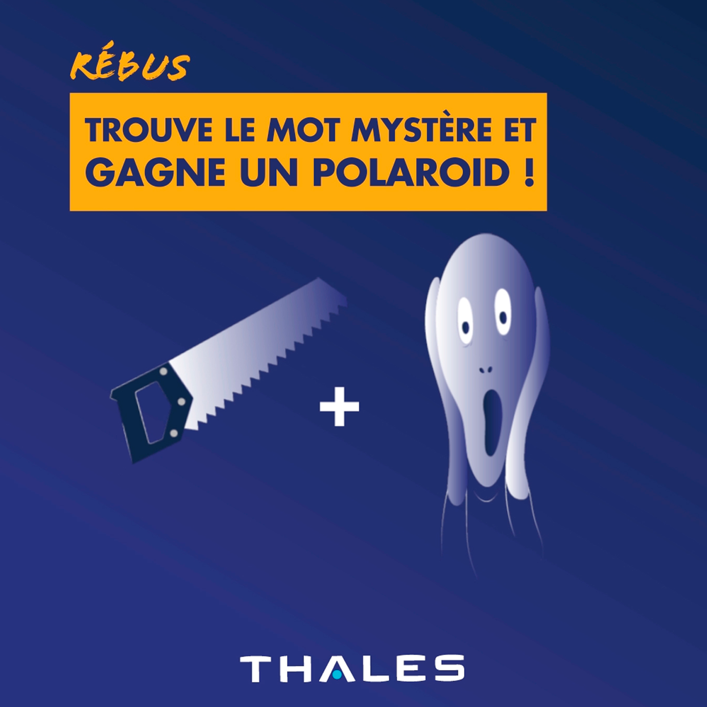 Thales Media Réseaux sociaux - Galerie 05