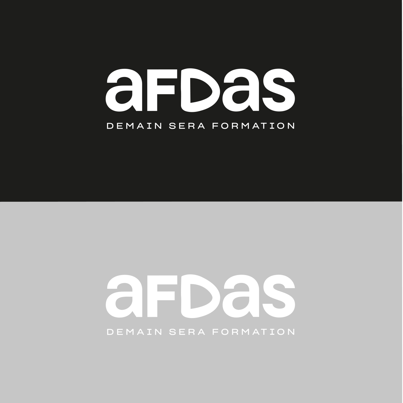 AFDAS Stratégie de marque - Galerie 02